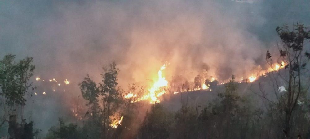 A view of the fire that broke out near Meriema, Kohima on March 1. (Photo Courtesy: RO(E)F&ES)